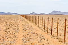 NIKON-D700-2016-01-20-11-24-35