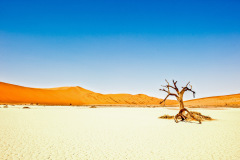 NIKON-D700-2016-01-20-11-25-10