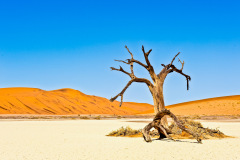 NIKON-D700-2016-01-20-11-25-18