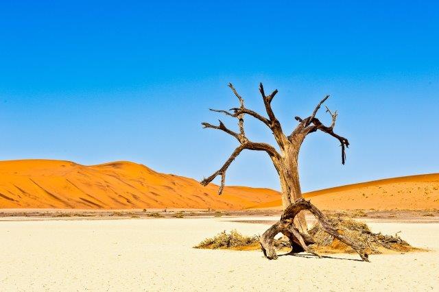 Namibia Gallery